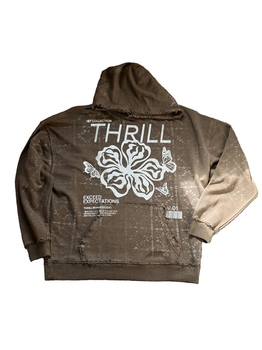 Thrill Exceed Expectations, Vintage Style Hoodie, Washed Brown *1of1